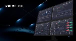 Primexbt vs Pocket Option 1