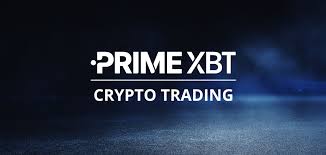 Primexbt vs Pocket Option 1