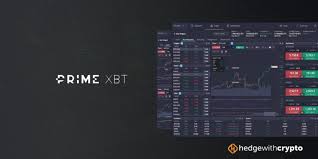 Primexbt vs Pocket Option 1